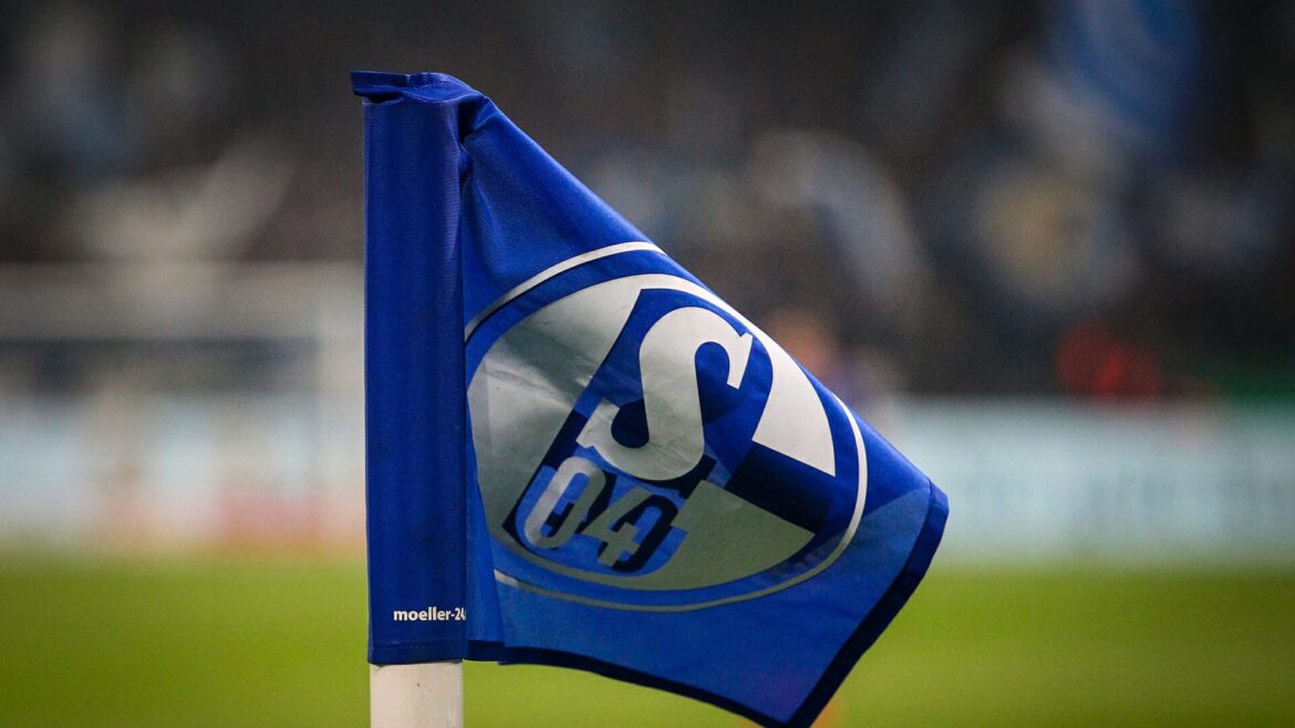gelsenkirchen-firo-03-04-2019fu-c2-a7ball-dfb-pokal-viertelfinale-saison-2018-2019fc-schalke-04-sv-werder-bremen